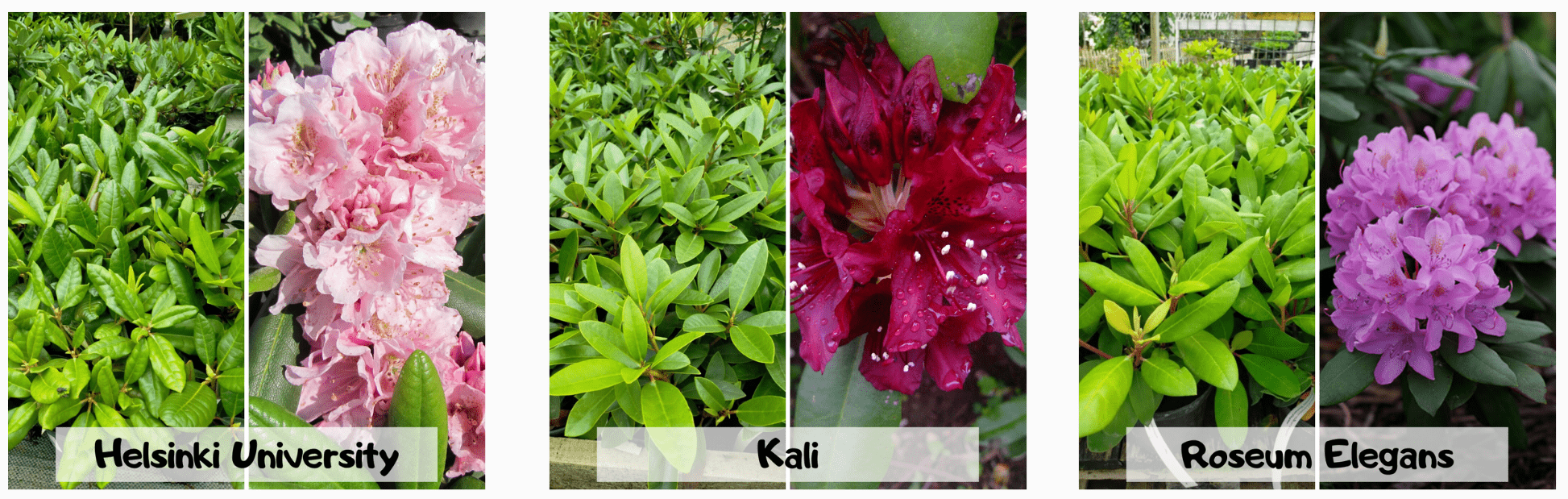 Остатки сладки – скидка 7,5% с 15 по 24 июля