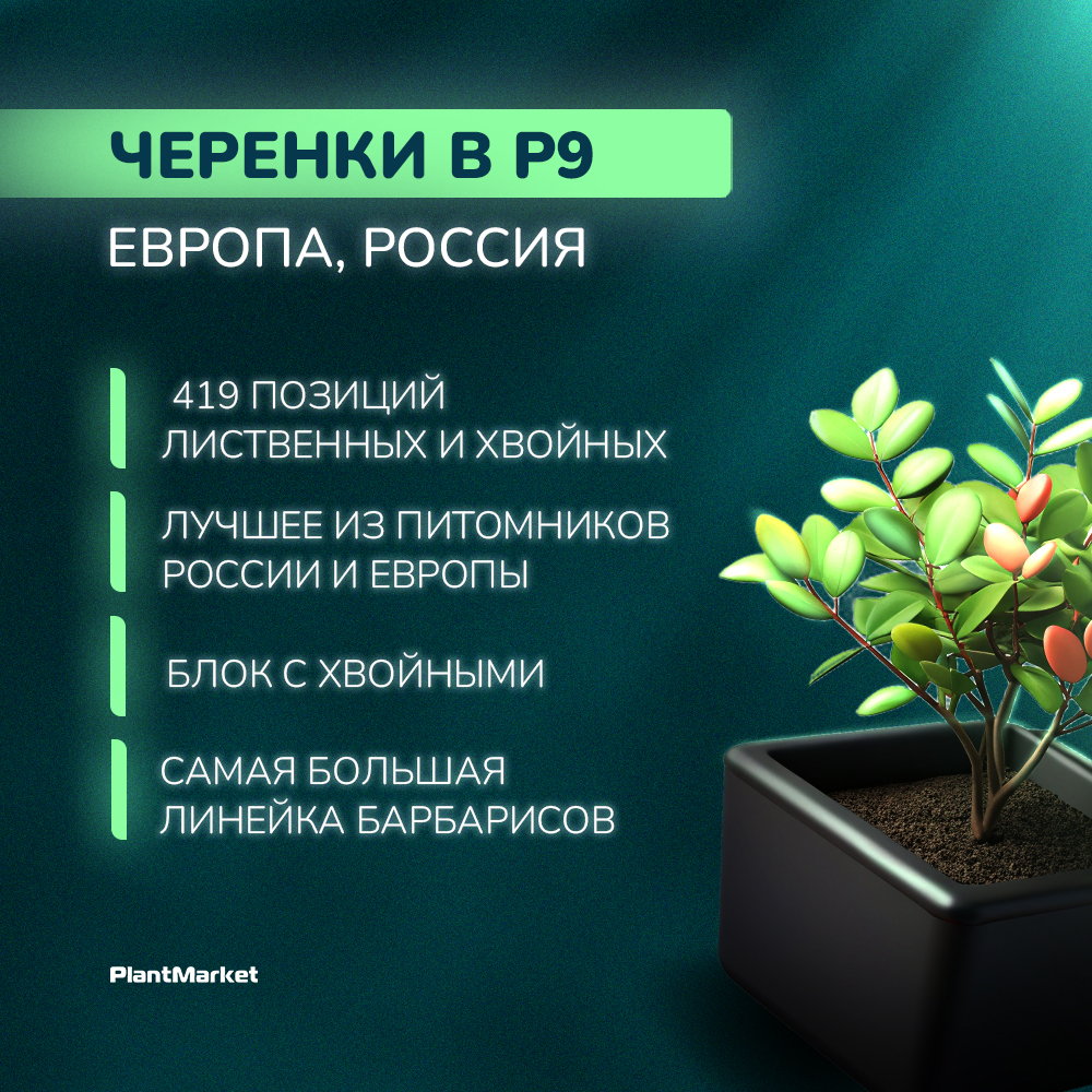 Монтажная область 3 — копия.jpg