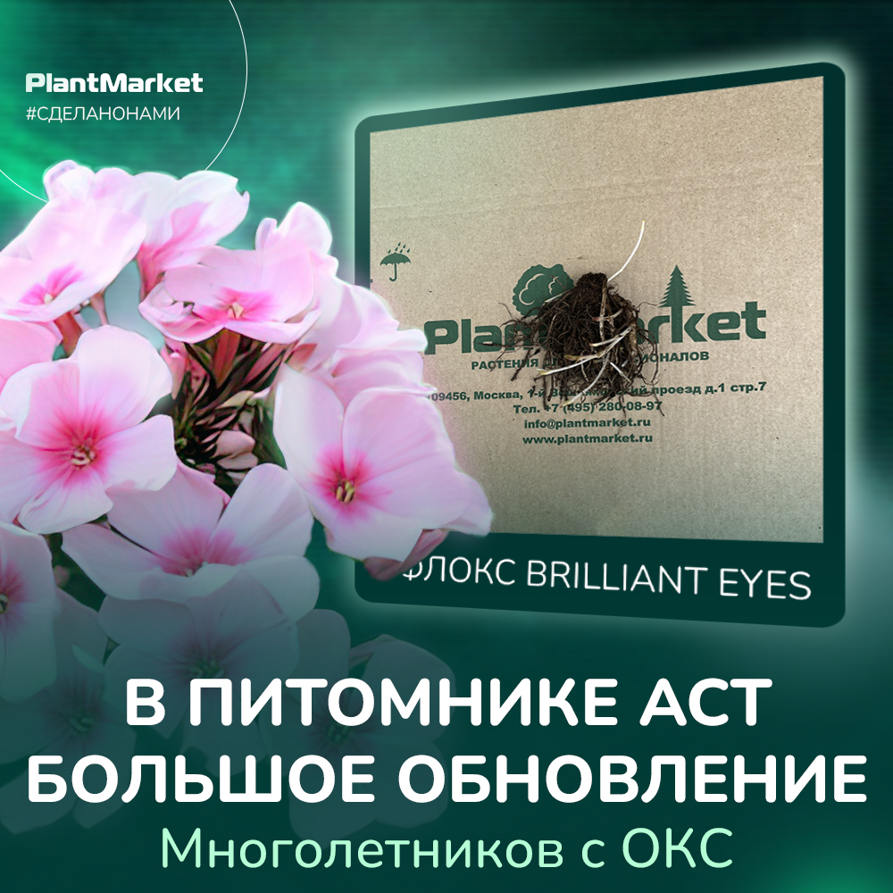 Многолетники 02.04.jpg