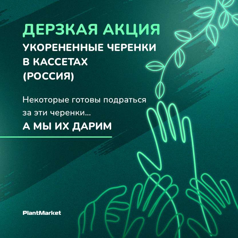 акция 24.02.26_после сведения_1_2.jpg