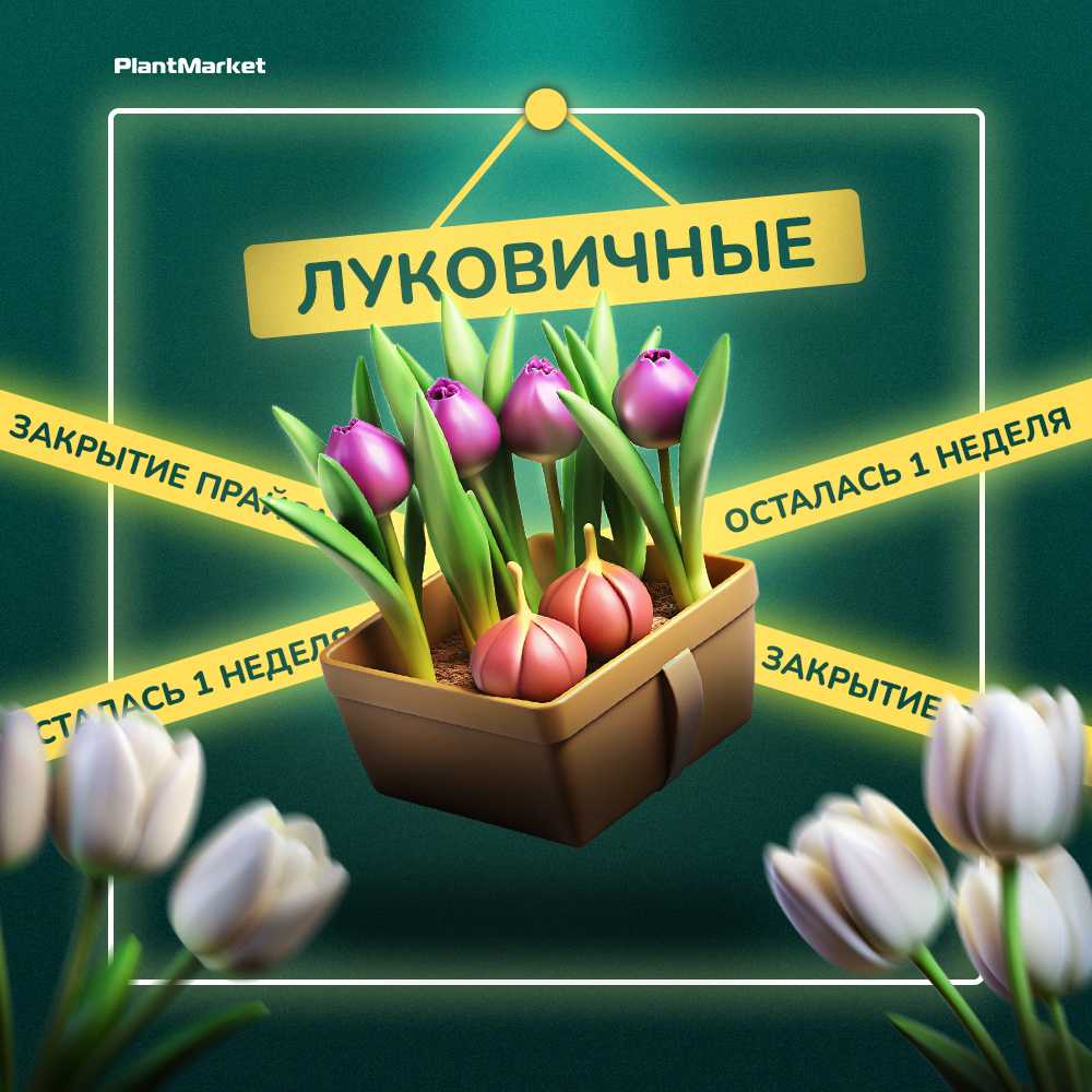 1753269852304-________________ ____________________.jpg