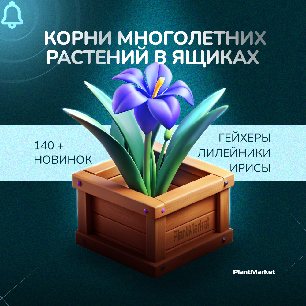 многолетники 13.10.25_1_2.jpg