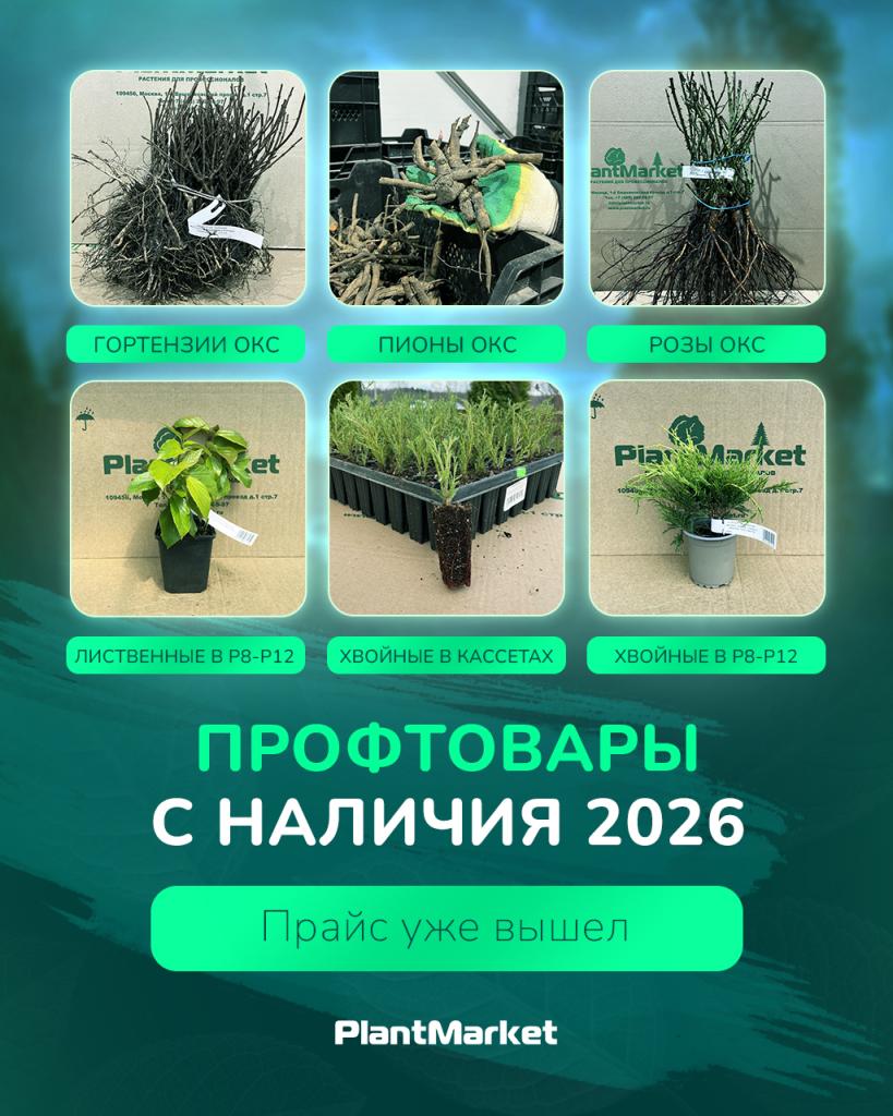 ghjanjdfhs 11.02.26_1_2_3_4.jpg