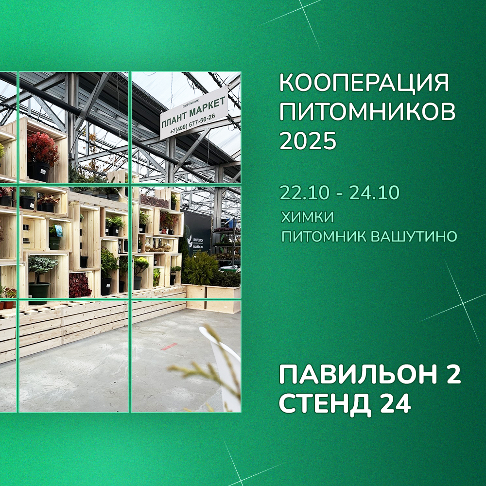 вашутино 16.10.25.jpg