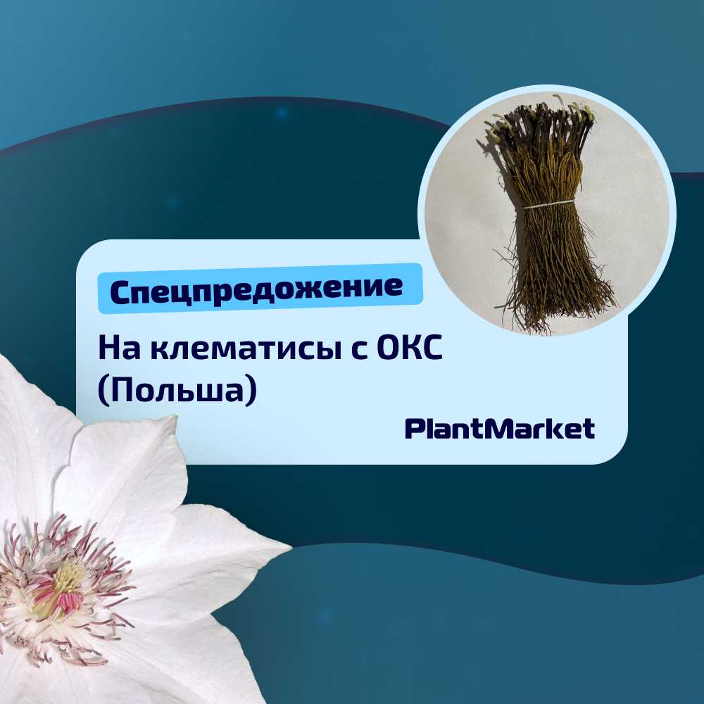 1726557337415-Frame 2687.jpg