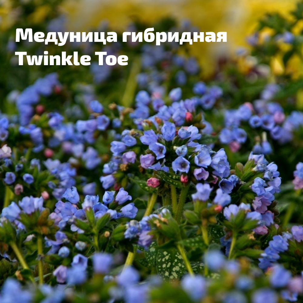 Frame 2355.jpg Frame 2355.jpg