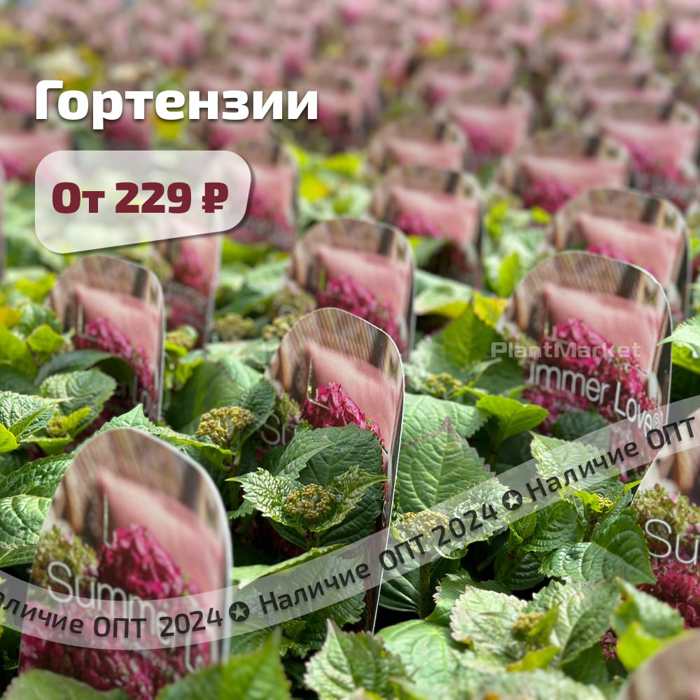 photo_2024-05-15_16-31-16 (2).jpg