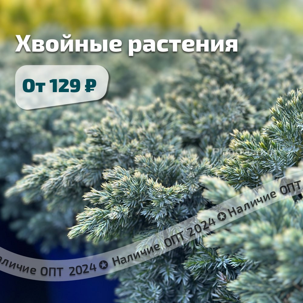 photo_2024-05-15_16-31-17 (4).jpg