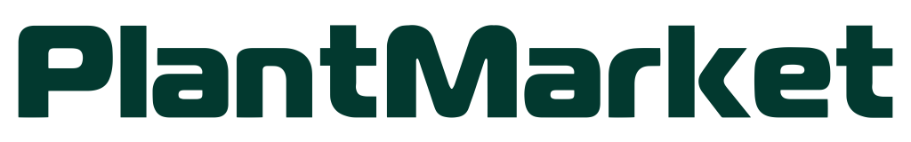 лого новый ангелина темной зеленый 02392f + ШИРИНА ВЫСОТА.png