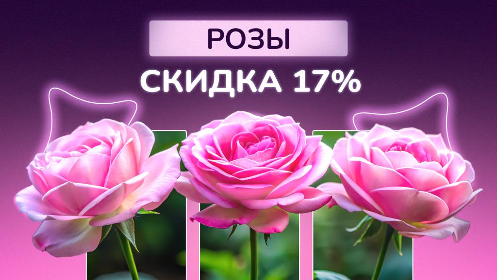 розы акция 11.07.25 сайт.jpg