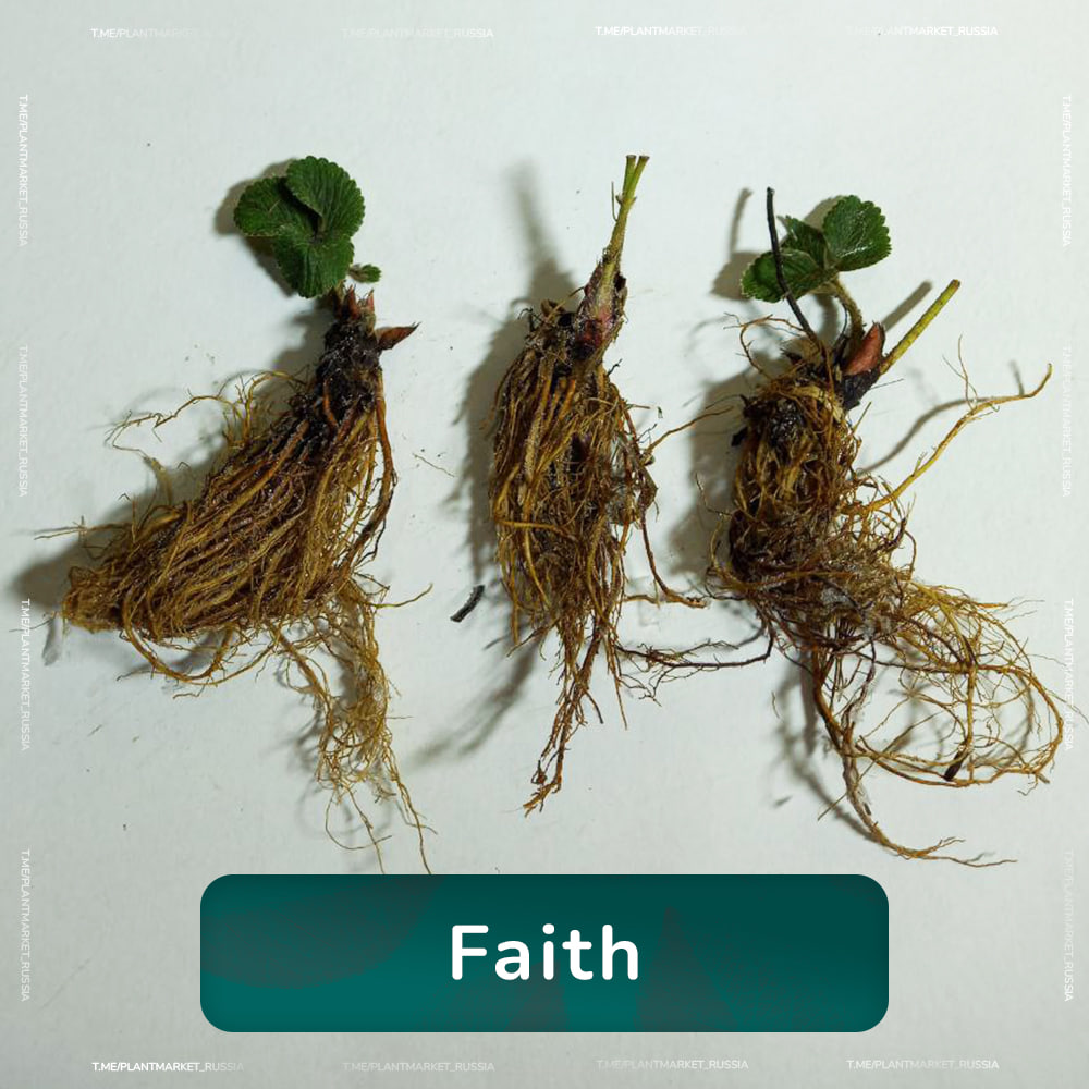 photo_2026-02-20_16-39-08 (2).jpg