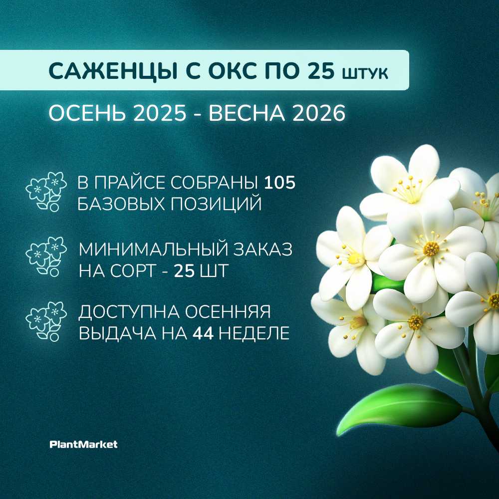 1759391795817-______ ______ 25________ 01.10.25 (1).jpg