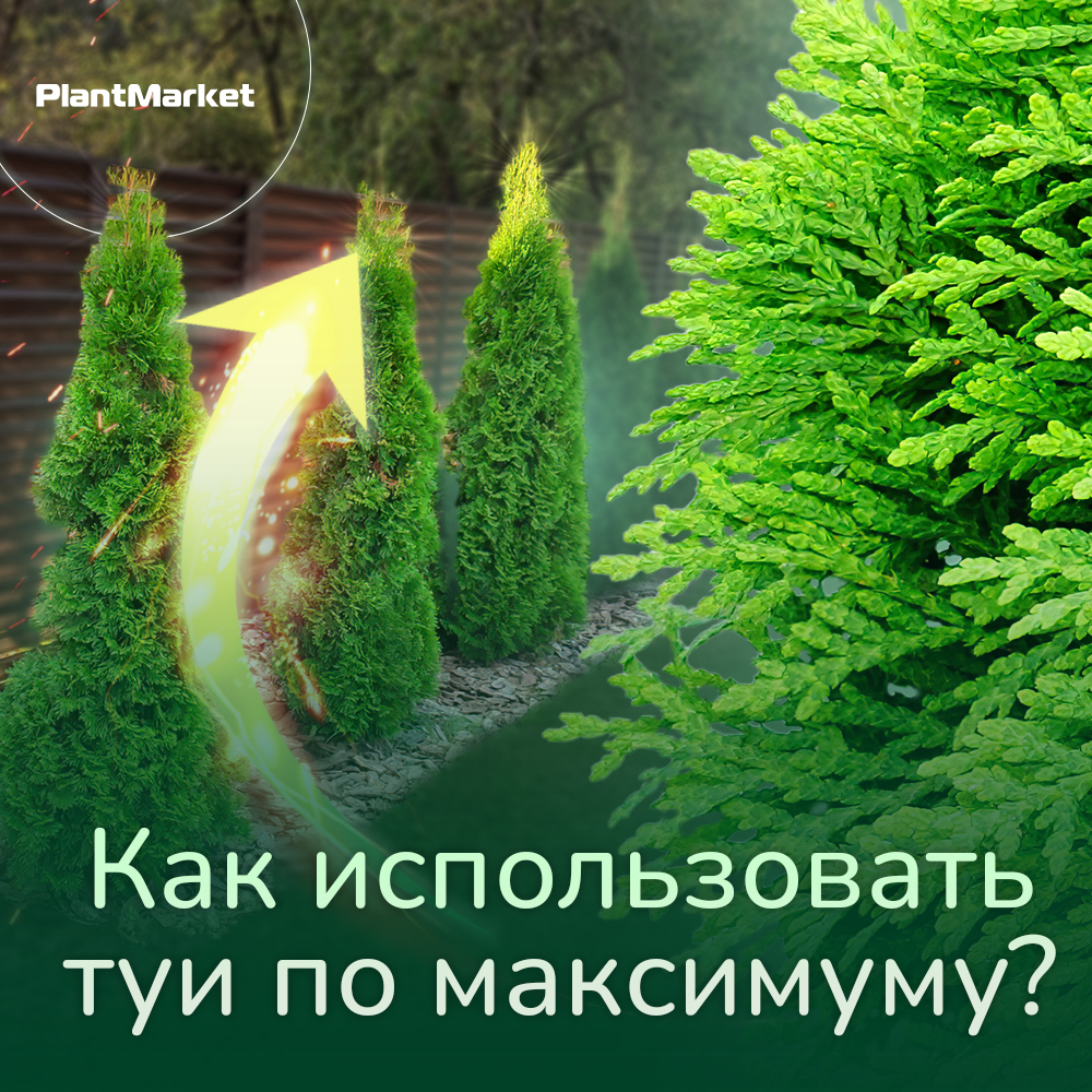 Выкопка 18.03.jpg