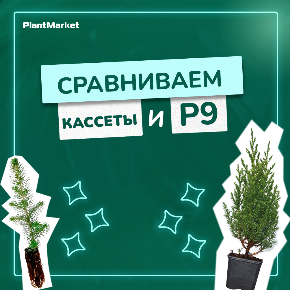 Монтажная область 1 копия 5.jpg