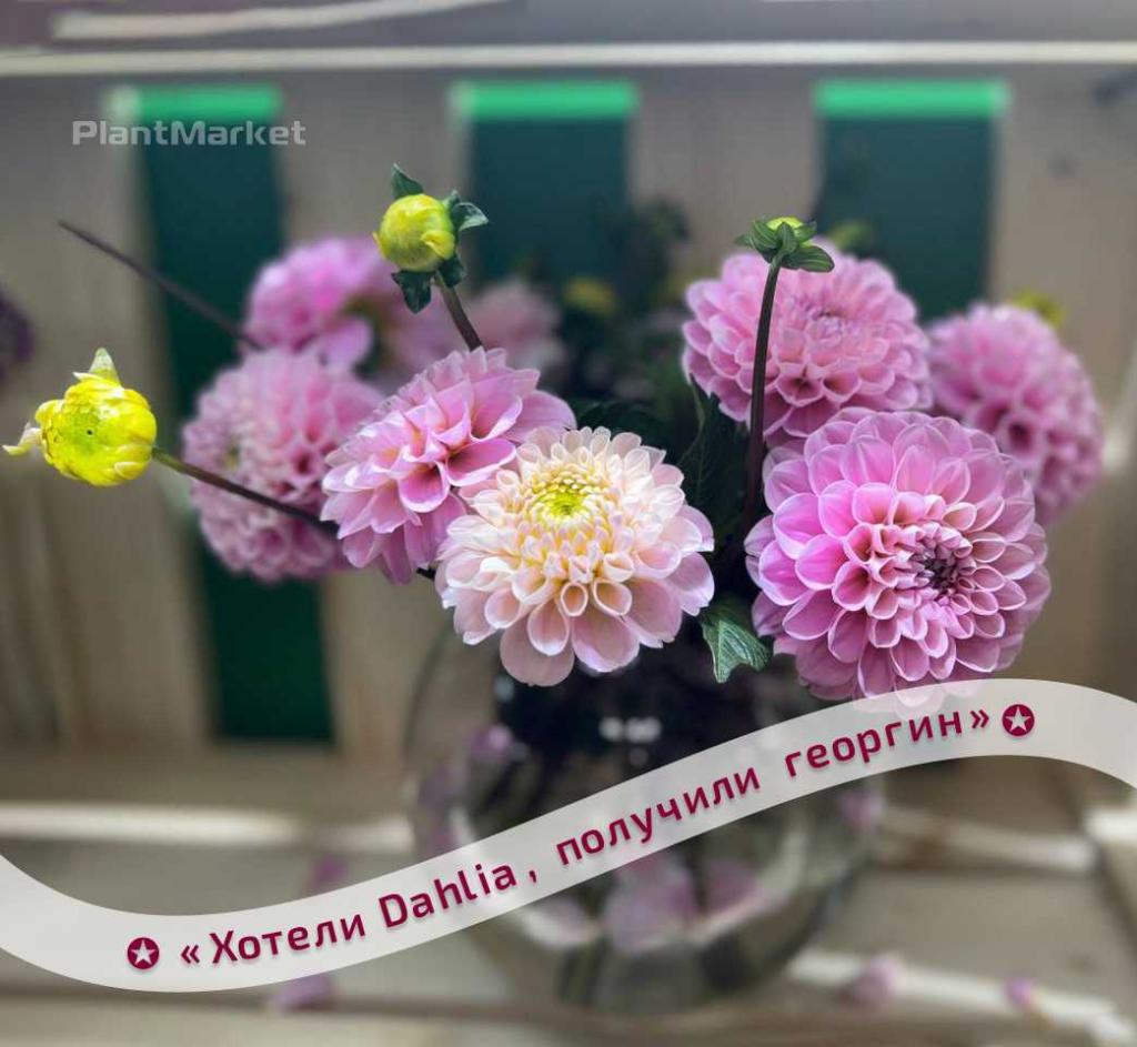 1727859772656-Frame 2702.jpg