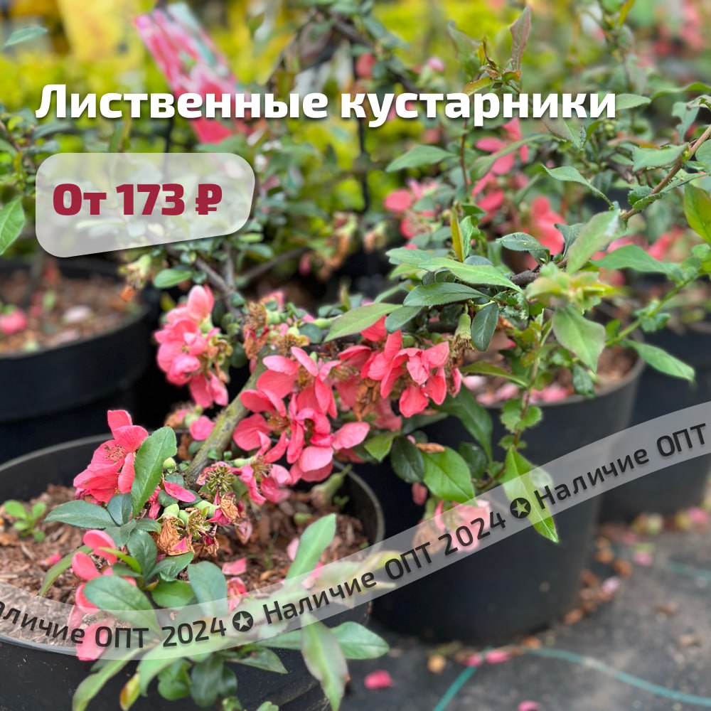 photo_2024-05-15_16-31-17 (2).jpg