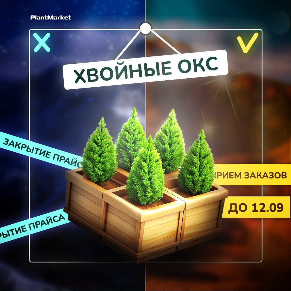 1756893573208-________________ ____________________ ______________ ______ 02.09.25.jpg