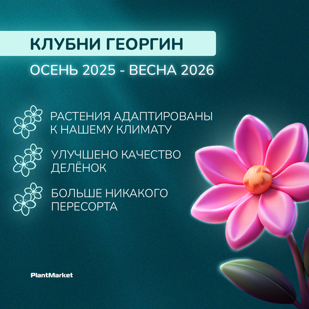 Монтажная область 0.jpg