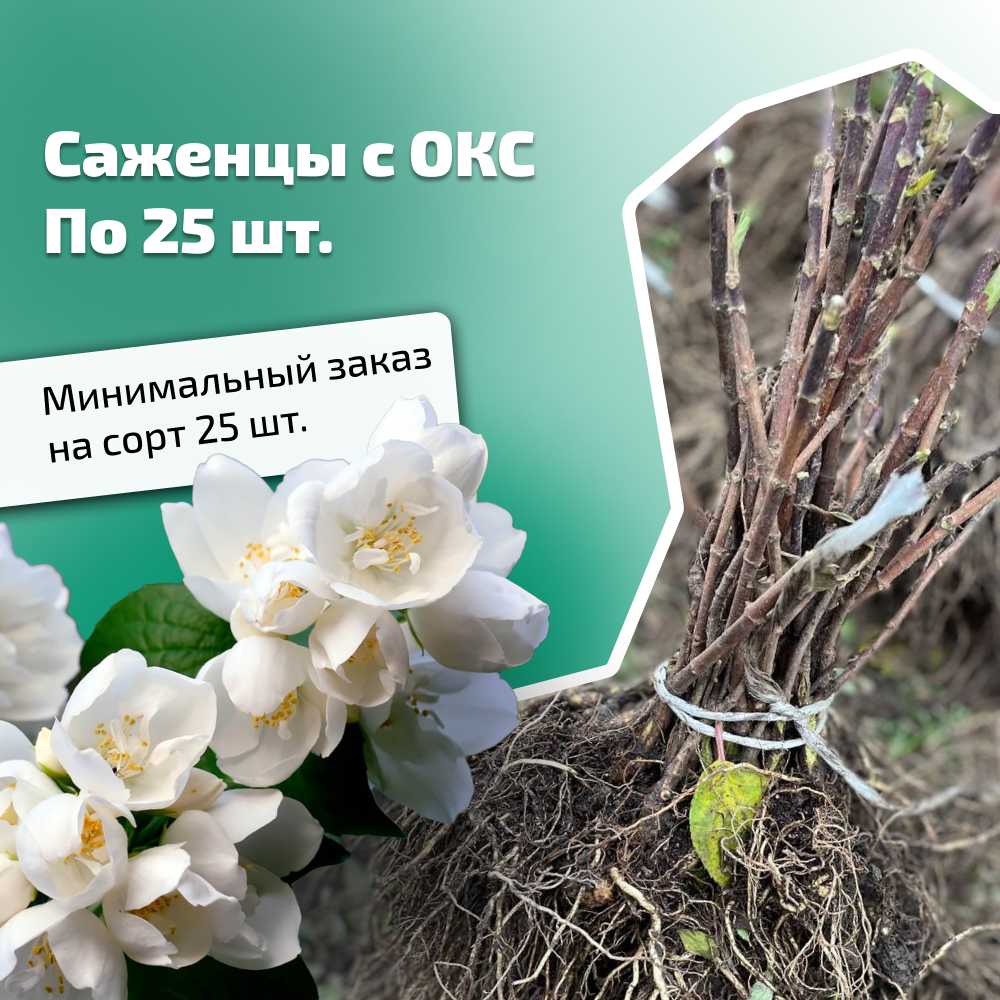 1728291147898-Frame 2689.jpg