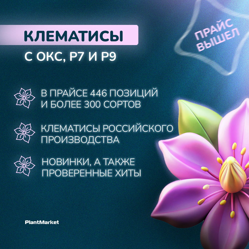 Монтажная область 3(1).jpg