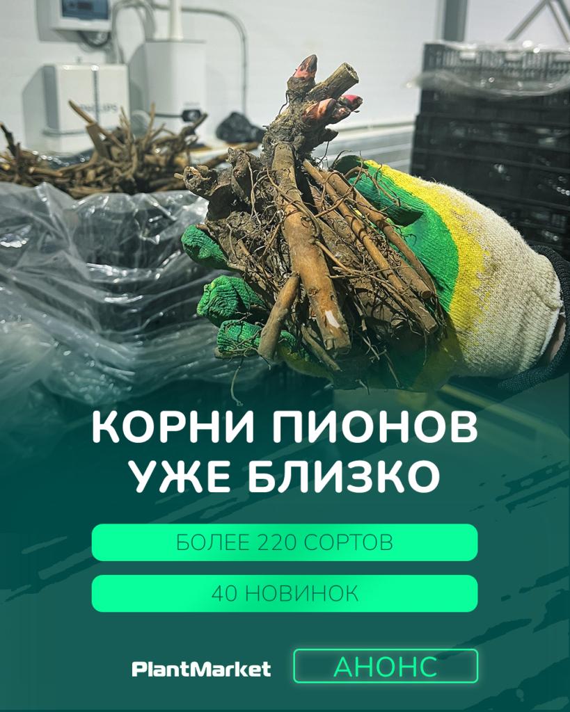 Монтажная область 1.jpg