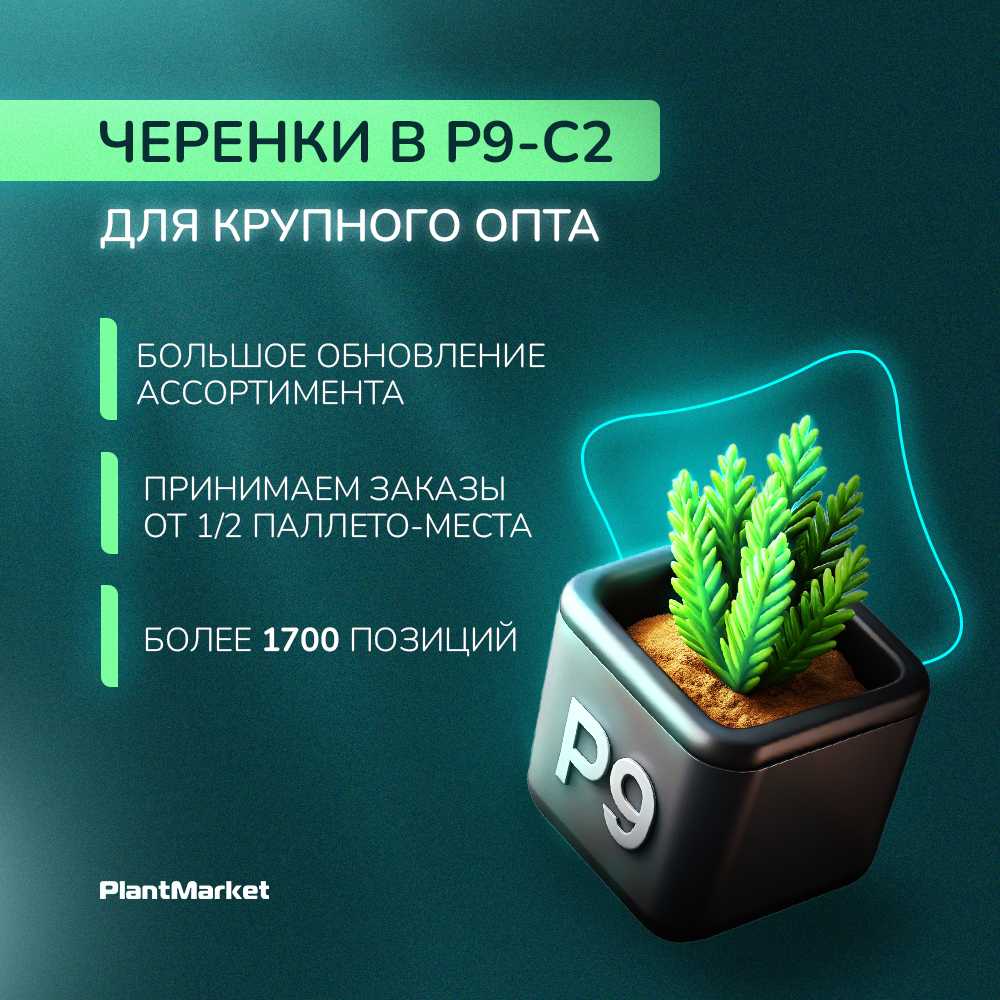 1752835112596-______________ P9 17.07.25.jpg