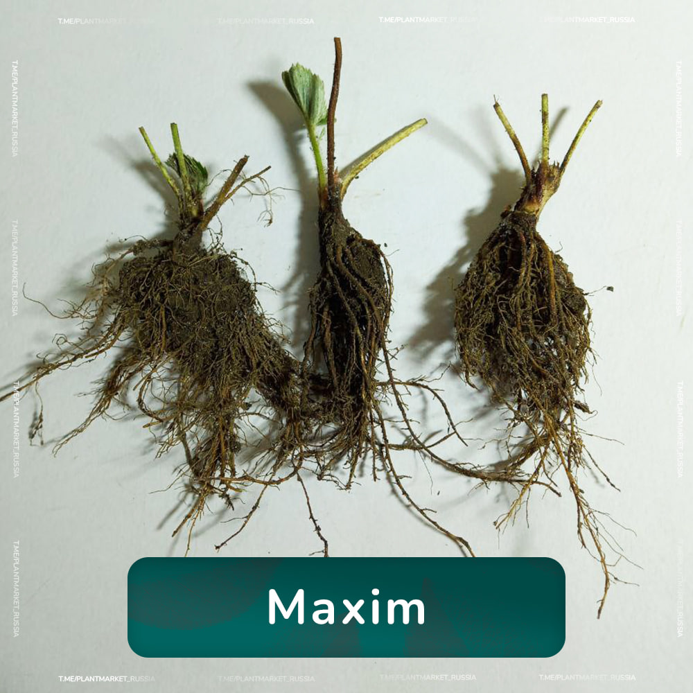 photo_2026-02-20_16-39-08 (3).jpg