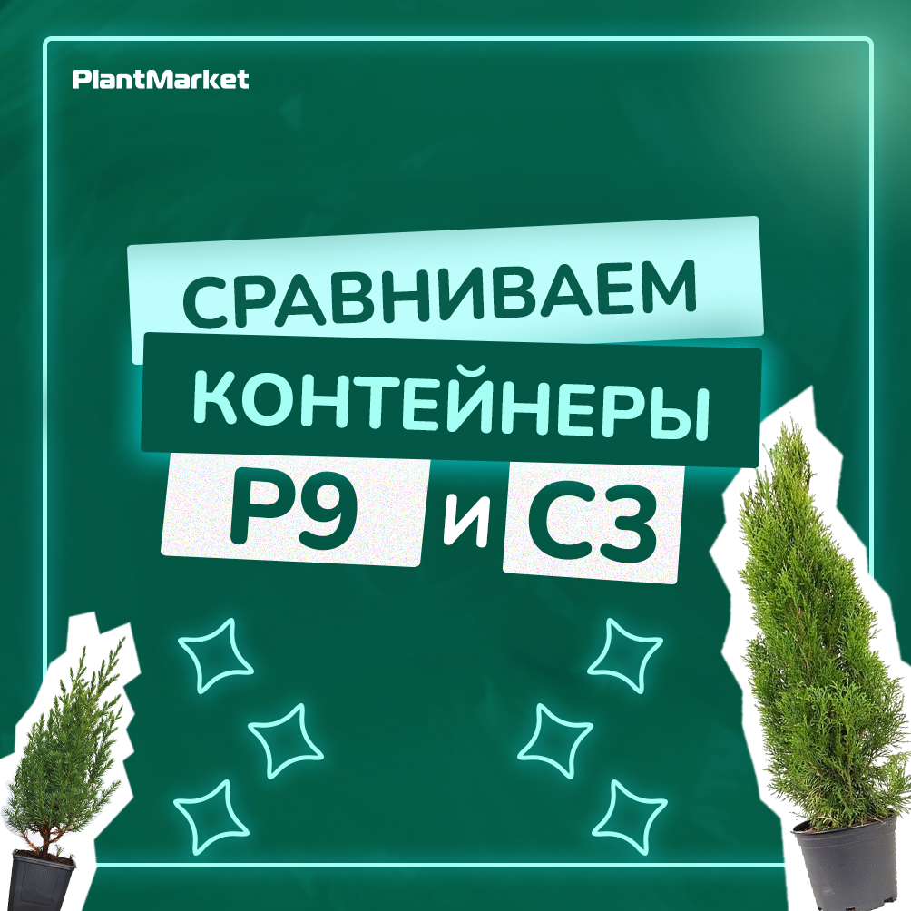 Монтажная область 1 копия 5.jpg