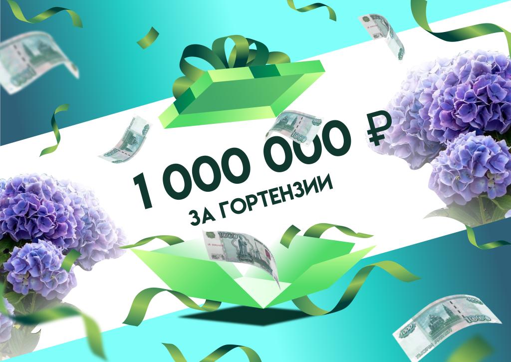 миллион_Монтажная область 1.jpg