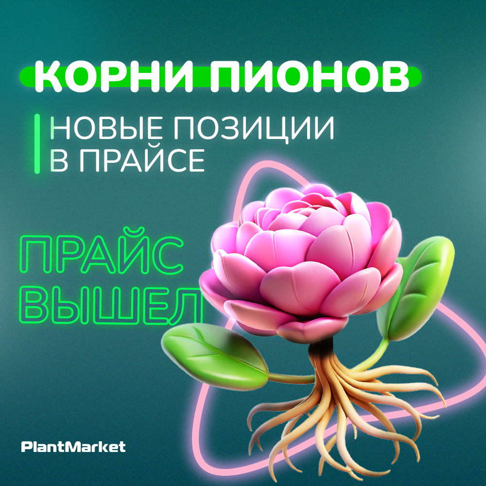 Корни пионов 15.05.25.jpg