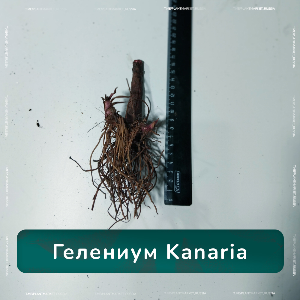 Монтажная область 1 копия 3.jpg