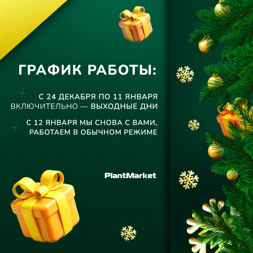 график 2_после сведения.jpg