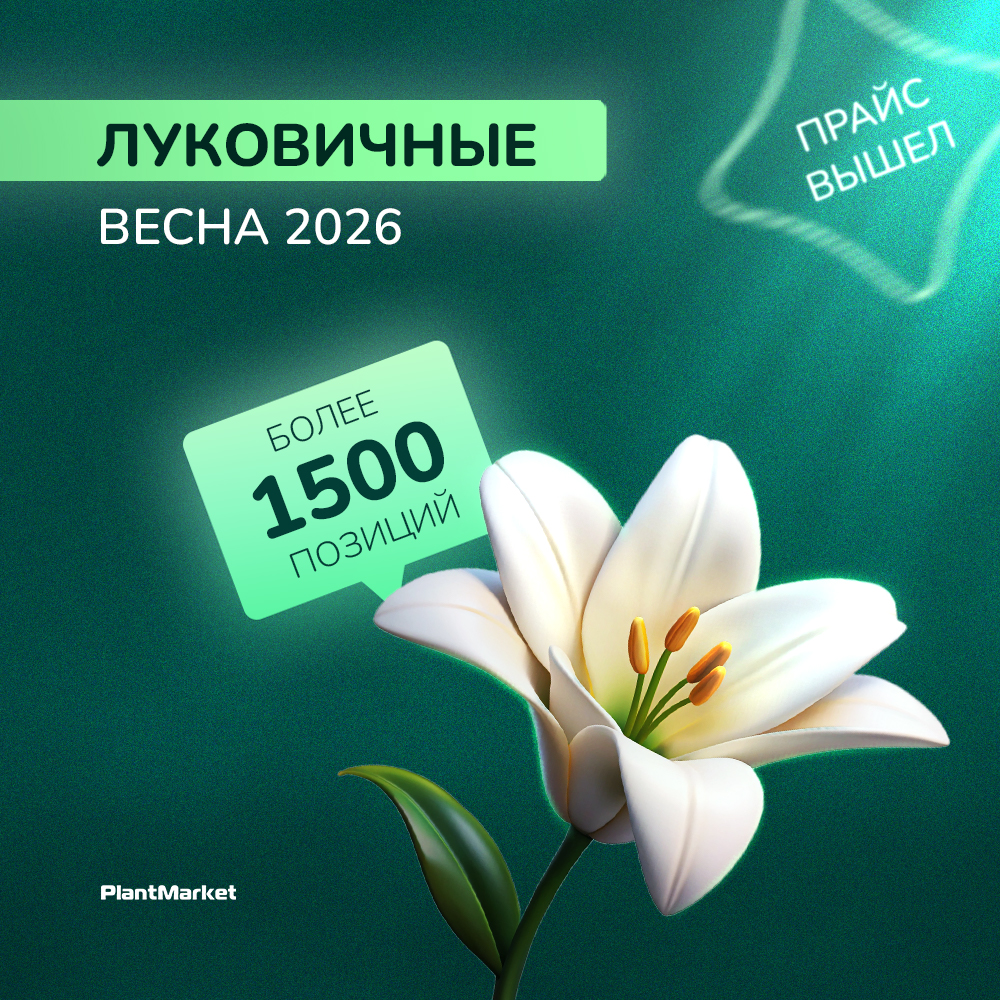 Монтажная область 3 копия.jpg