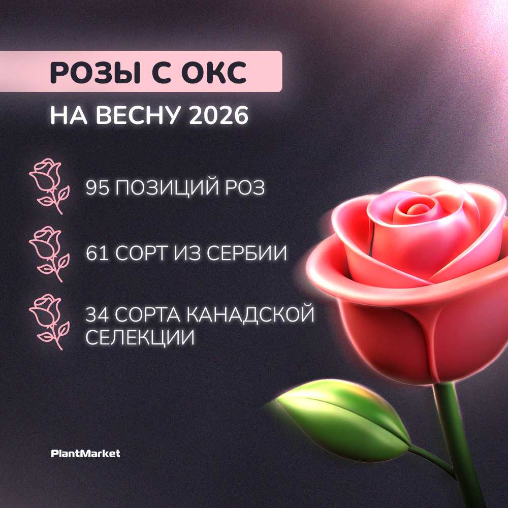 1757578285996-__________________ ______________ 3.jpg