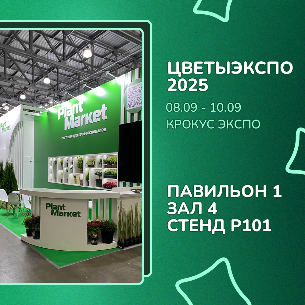 крукус 04.09.25.jpg