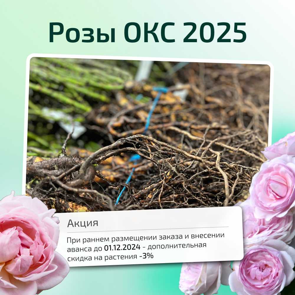 1726730577670-Frame 2689.jpg