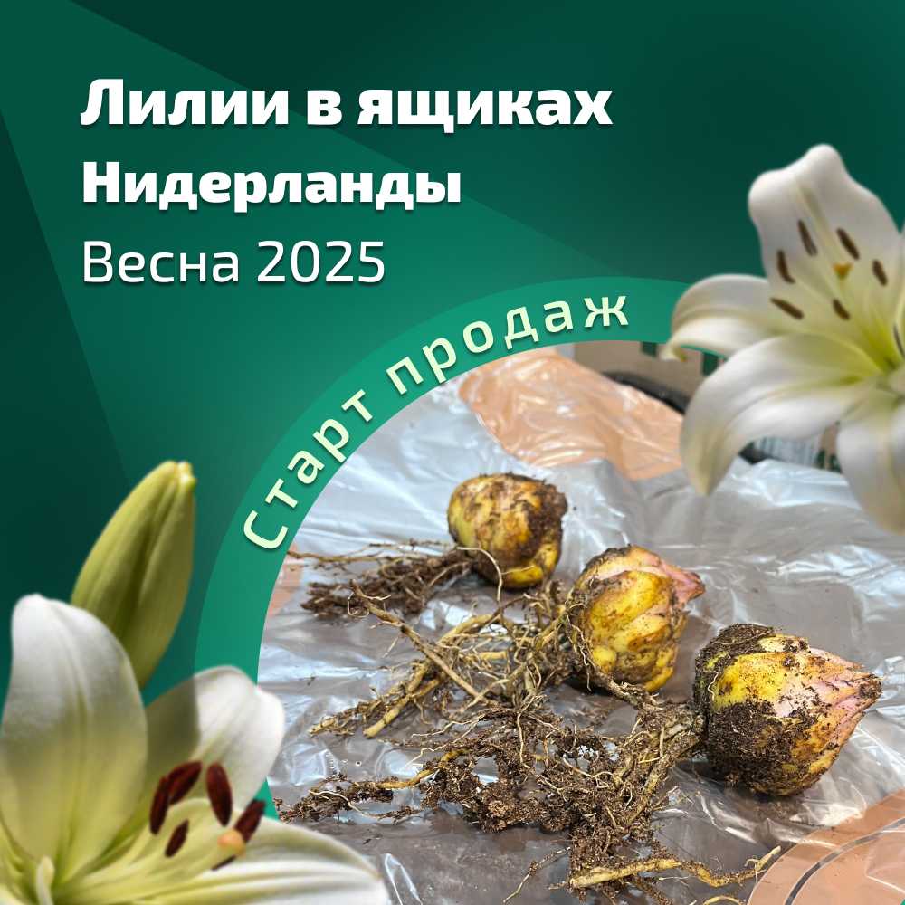 1729069733537-Frame 2726.jpg