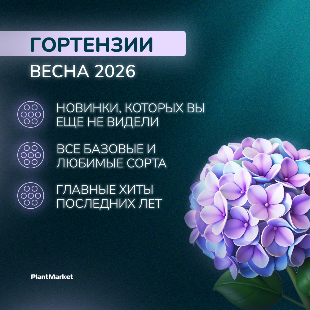 Монтажная область 3.jpg