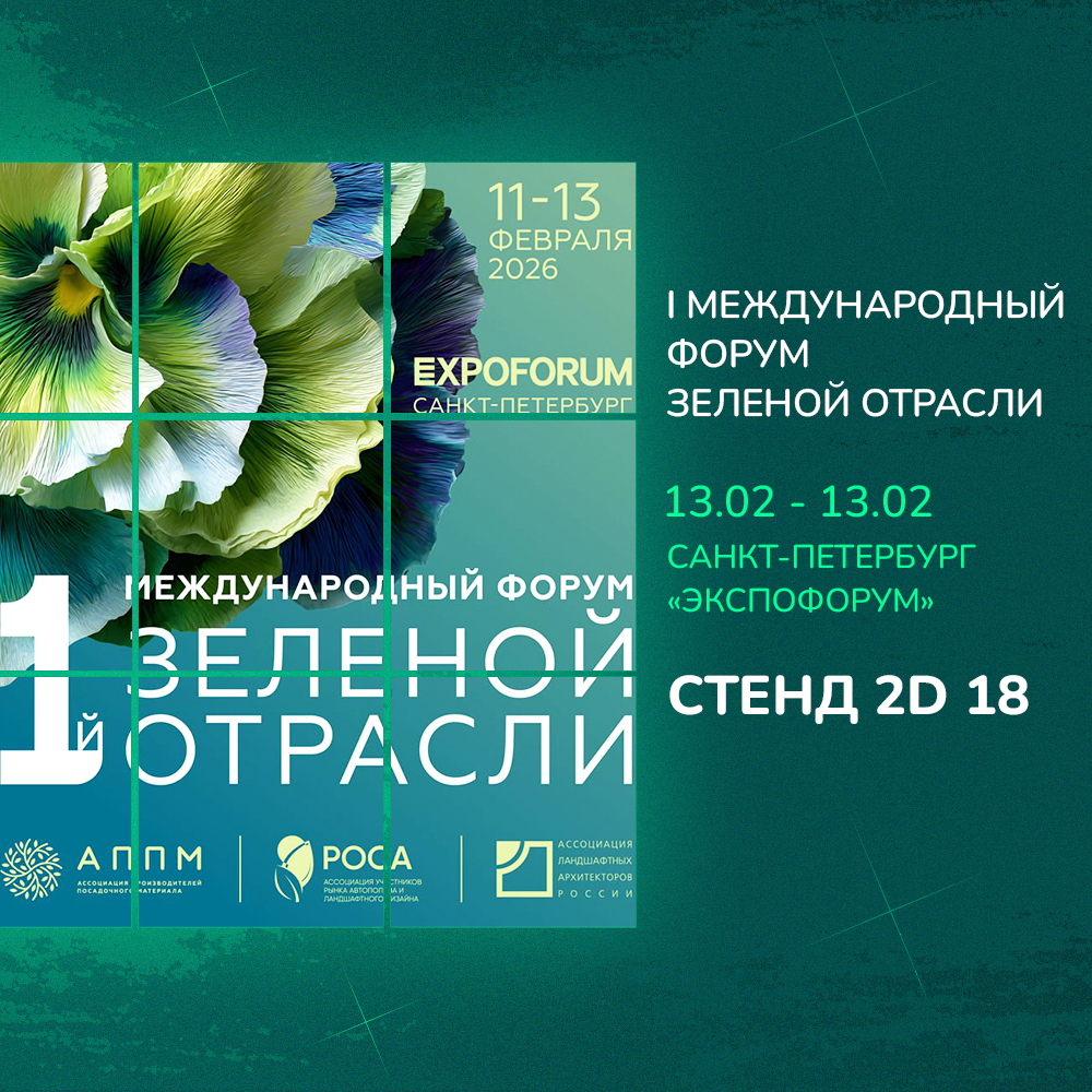 зеленая трасль 06 02.26.jpg