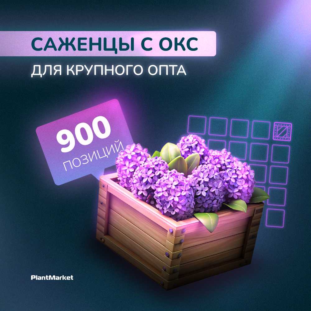 1753951531242-______________ ______ ______ ______________ ________ 30.07.25 1.jpg