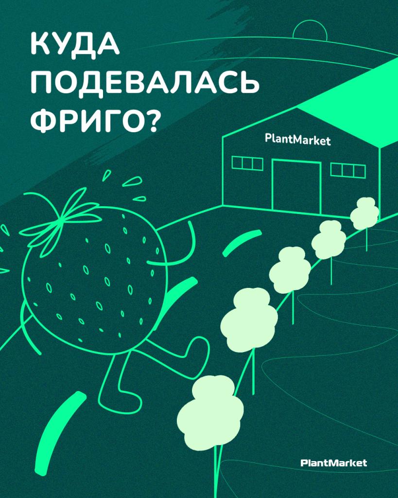 куда поделвалась фриго_1.jpg