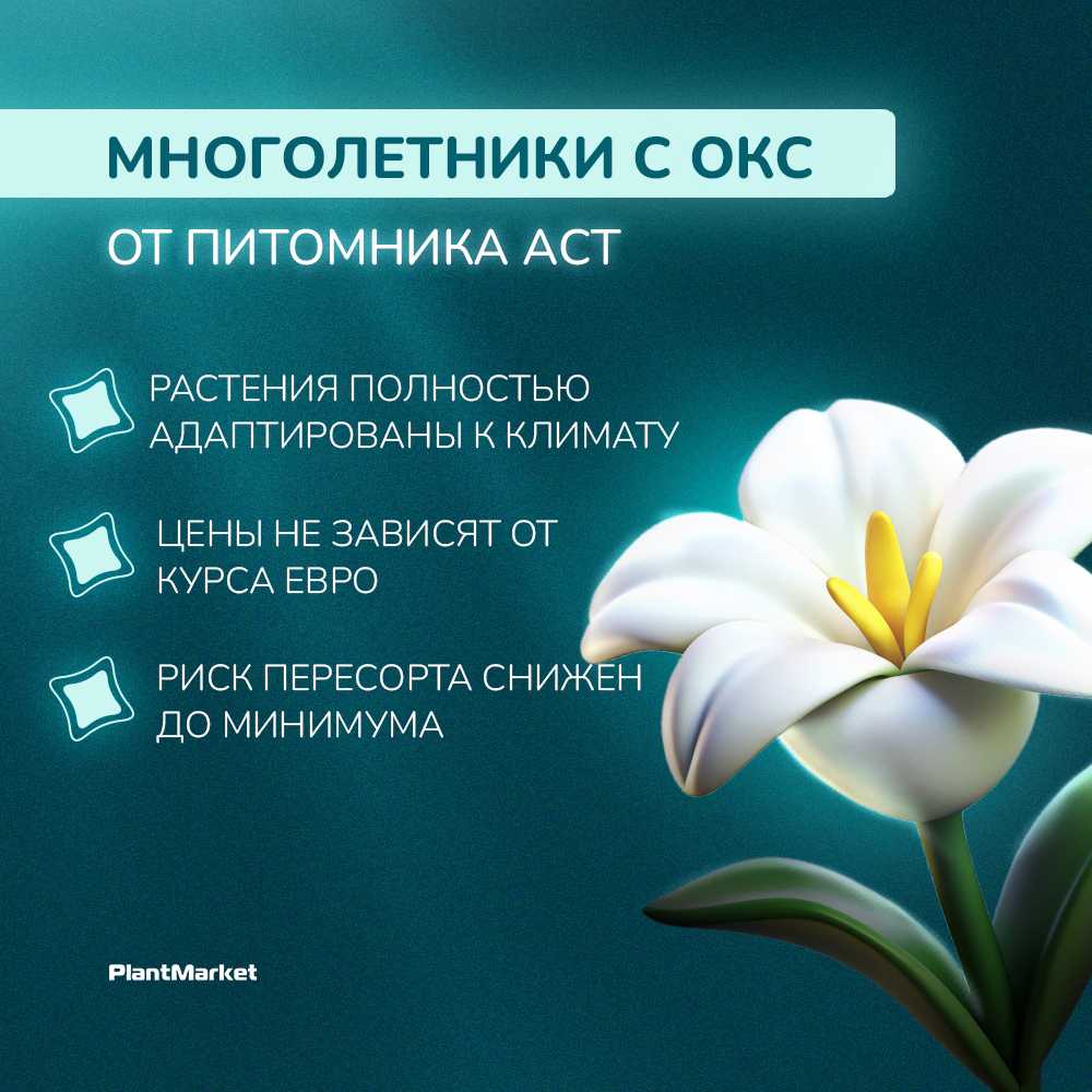 1757406797180-__________________ ______________ 3.jpg