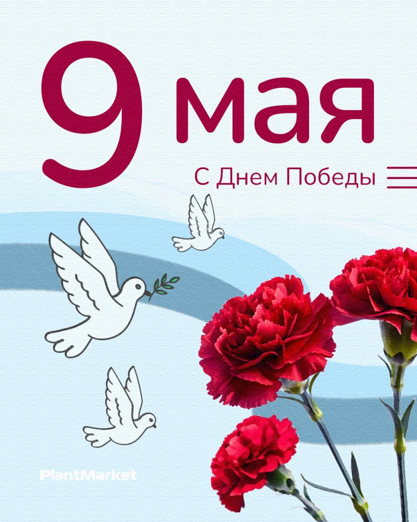 день победы 26_после сведения_2_3.jpg