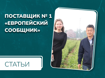 Поставщик #1 Европейский сообщник