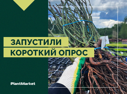 Друзья, важно услышать ваше мнение!