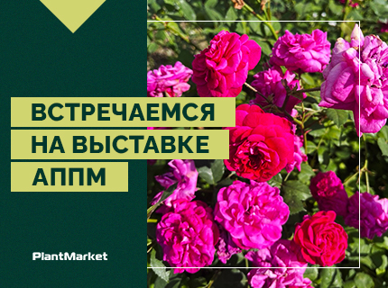 Встречаемся на выставке АППМ
