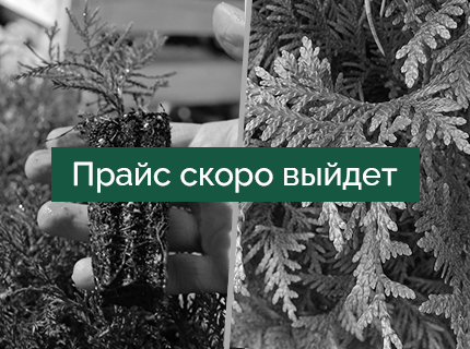 Профтовары с наличия в кассетах и P9-P12