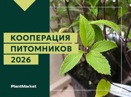 PlantMarket на выставке «Кооперация питомников 2026»!